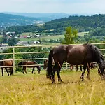 Bacowka Bialy Jelen Farmház *