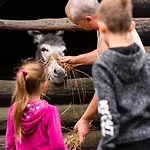 Farmház Bacowka Bialy Jelen Iwkowa