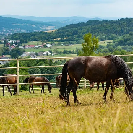 Bacowka Bialy Jelen Farmház *
