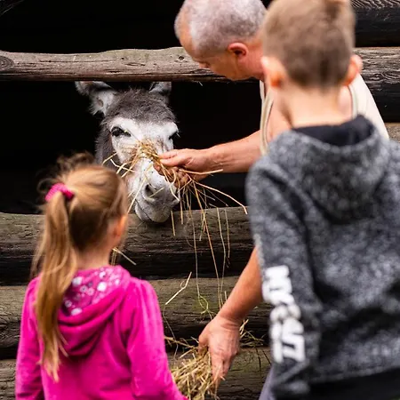Vakantieboerderij Bacowka Bialy Jelen Iwkowa