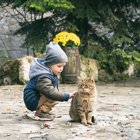 Bacowka Bialy Jelen * Iwkowa