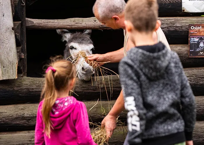 Gospodarstwo agroturystyczne Bacówka Biały Jeleń Iwkowa