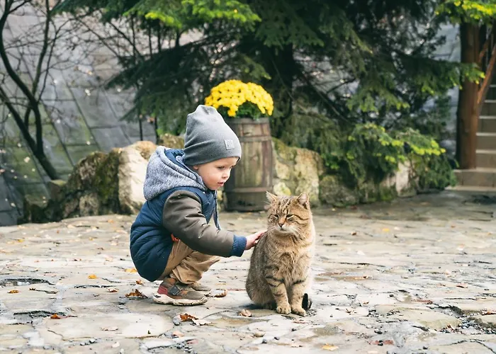 Bacówka Biały Jeleń * Iwkowa